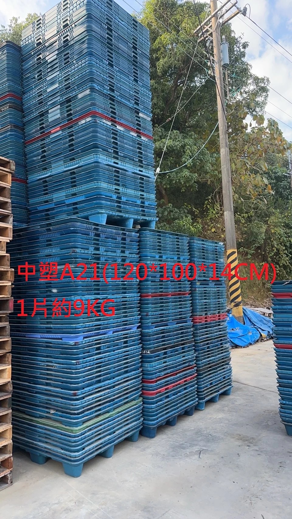 《型號:A21》中古塑膠棧板 (120*100)套疊TE130