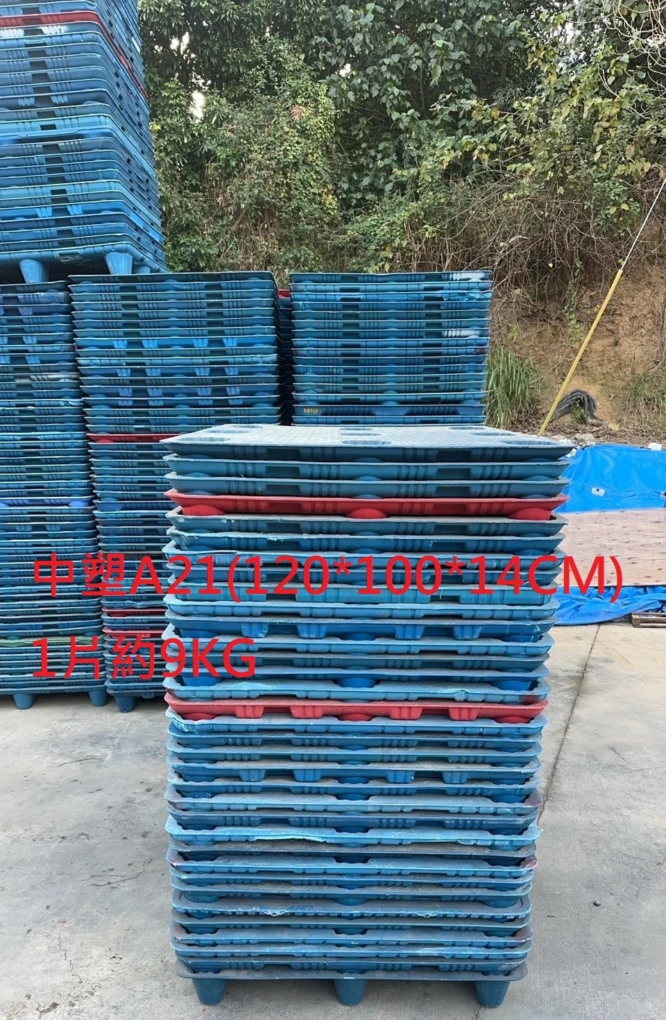 《型號:A21》中古塑膠棧板 (120*100)套疊TE130