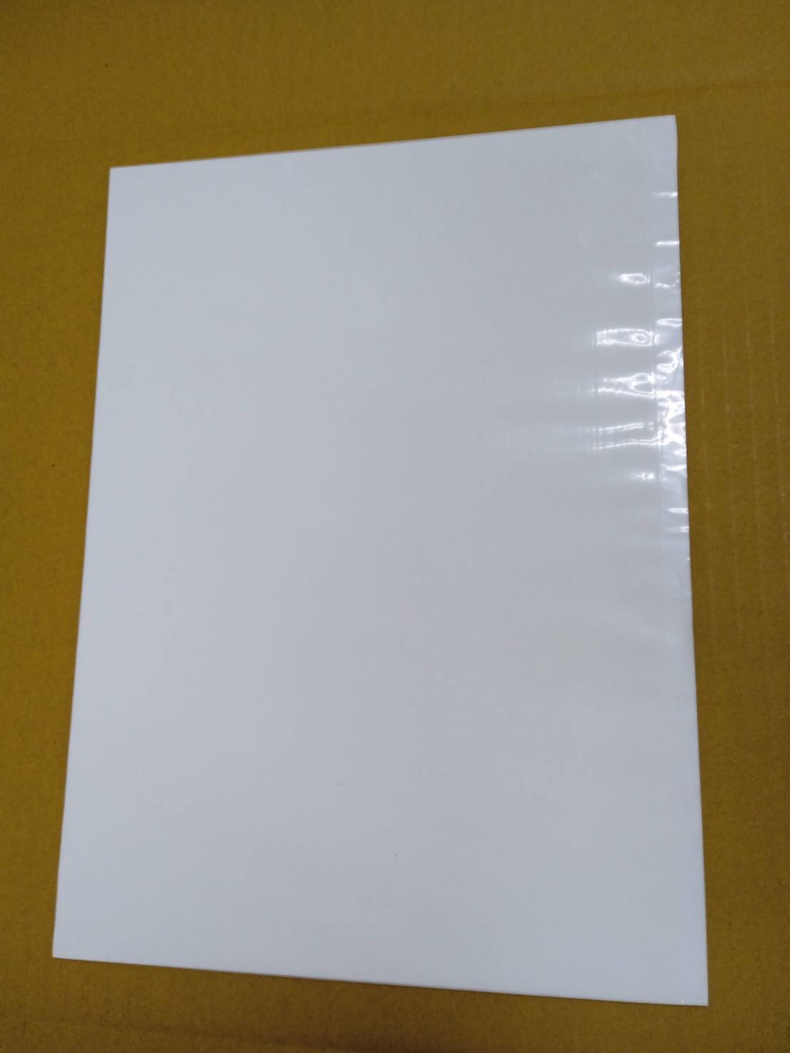 11.F-PE黏塵板24*33CM 白