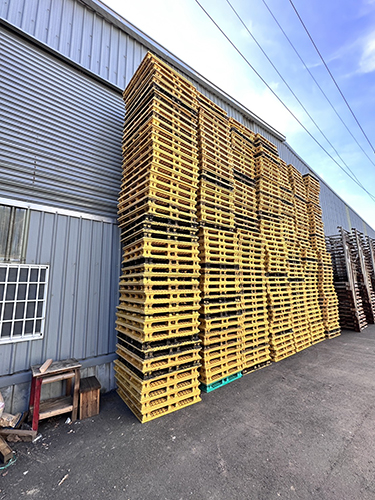 《型號:A27》中古雙面網狀塑膠棧板 (100*110*13)