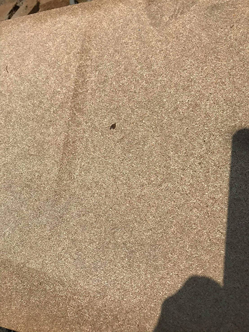 【塑合板】中古拆櫃保護板